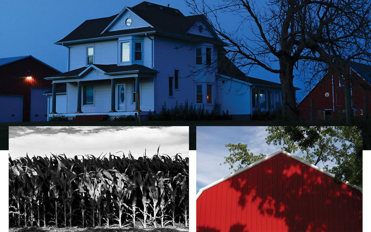 Scenes from Kathy Fahy’s farm.