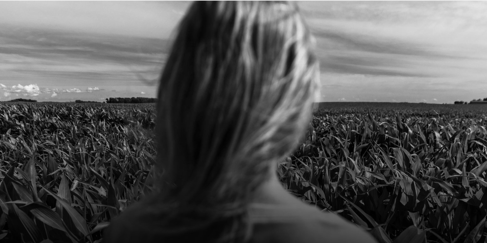 Person looks out onto a corn field