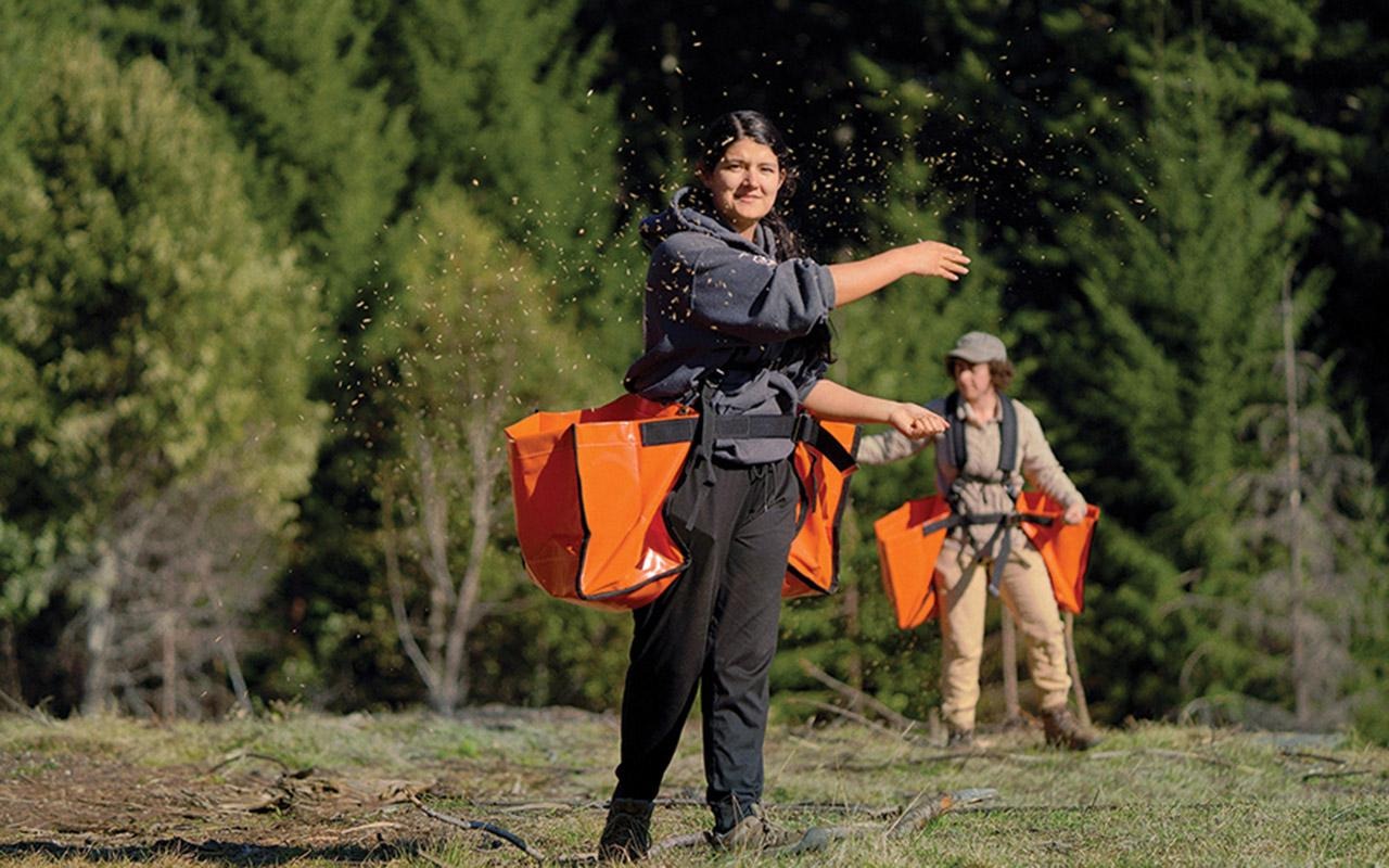 Kayla Salinas, of the Yurok Tribe Wildlife Department, scatters seeds on across a grassy clearing, with another person carrying orange containers in the background.