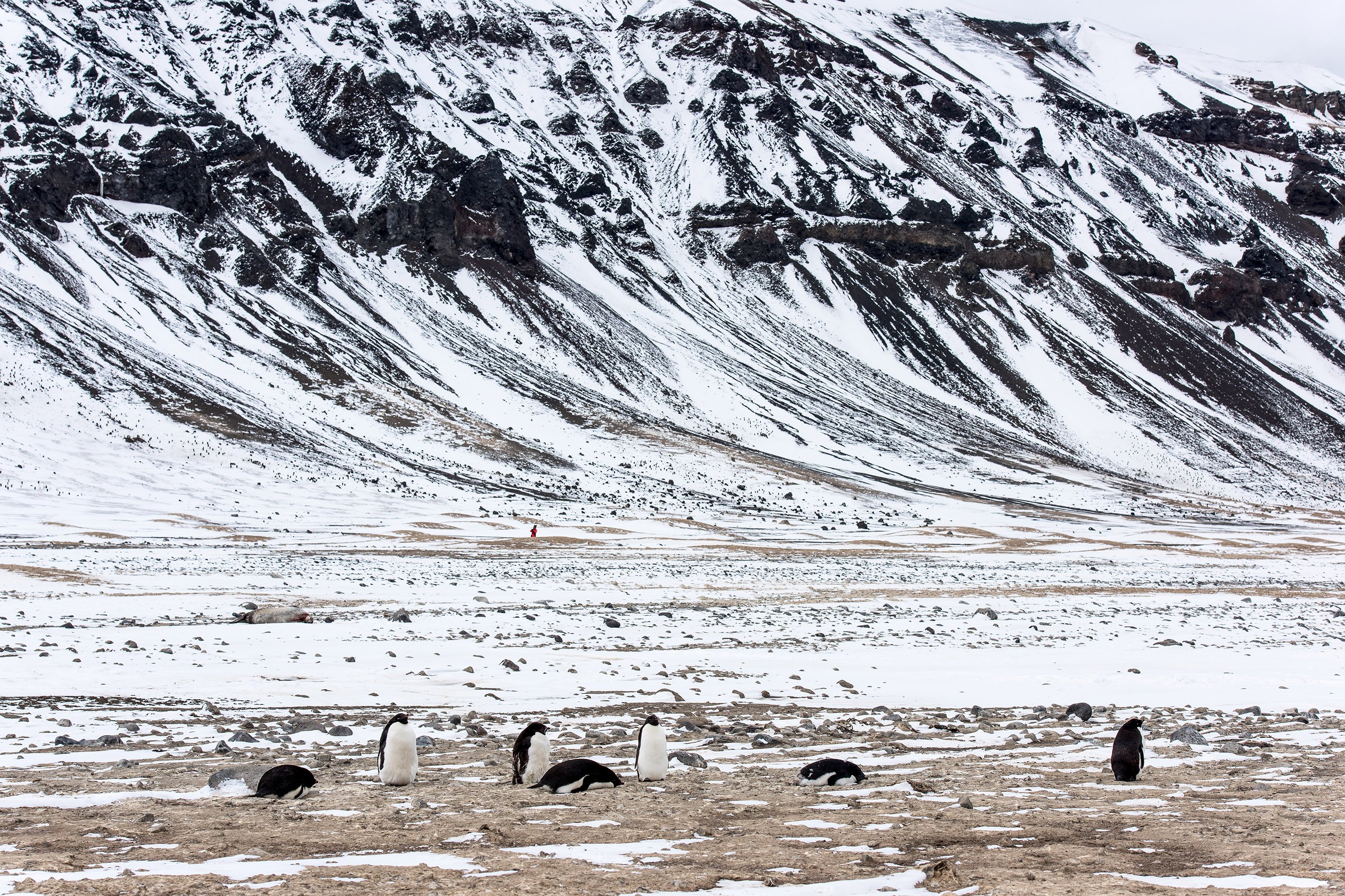 Franklin Island, Antarctica, 2017. Photo by Christian Clauwers