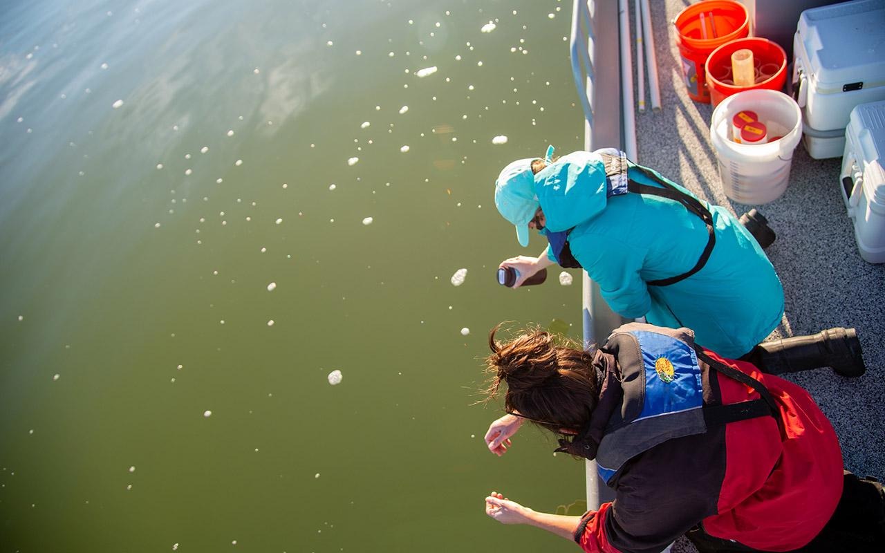 Person collecting a water sample from a dock using a bottle suspended on a rope.