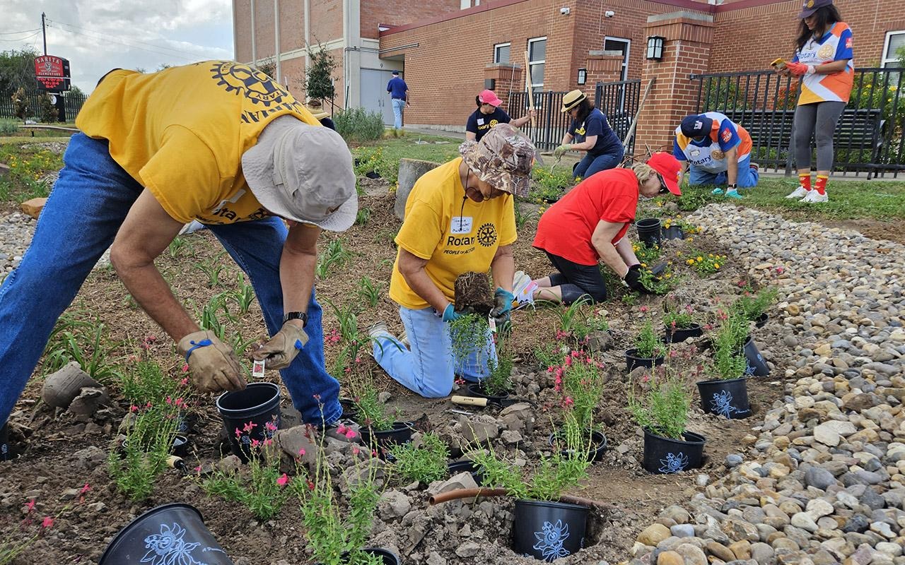 People planting young plants in a rock-covered landscape area beside a building.