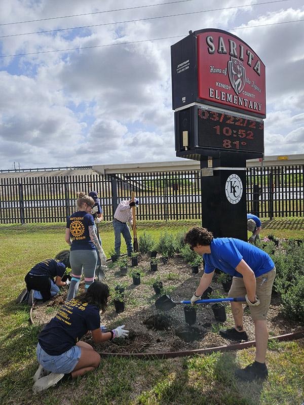 People planting shrubs near a school sign in a landscaped area beside a roadway.