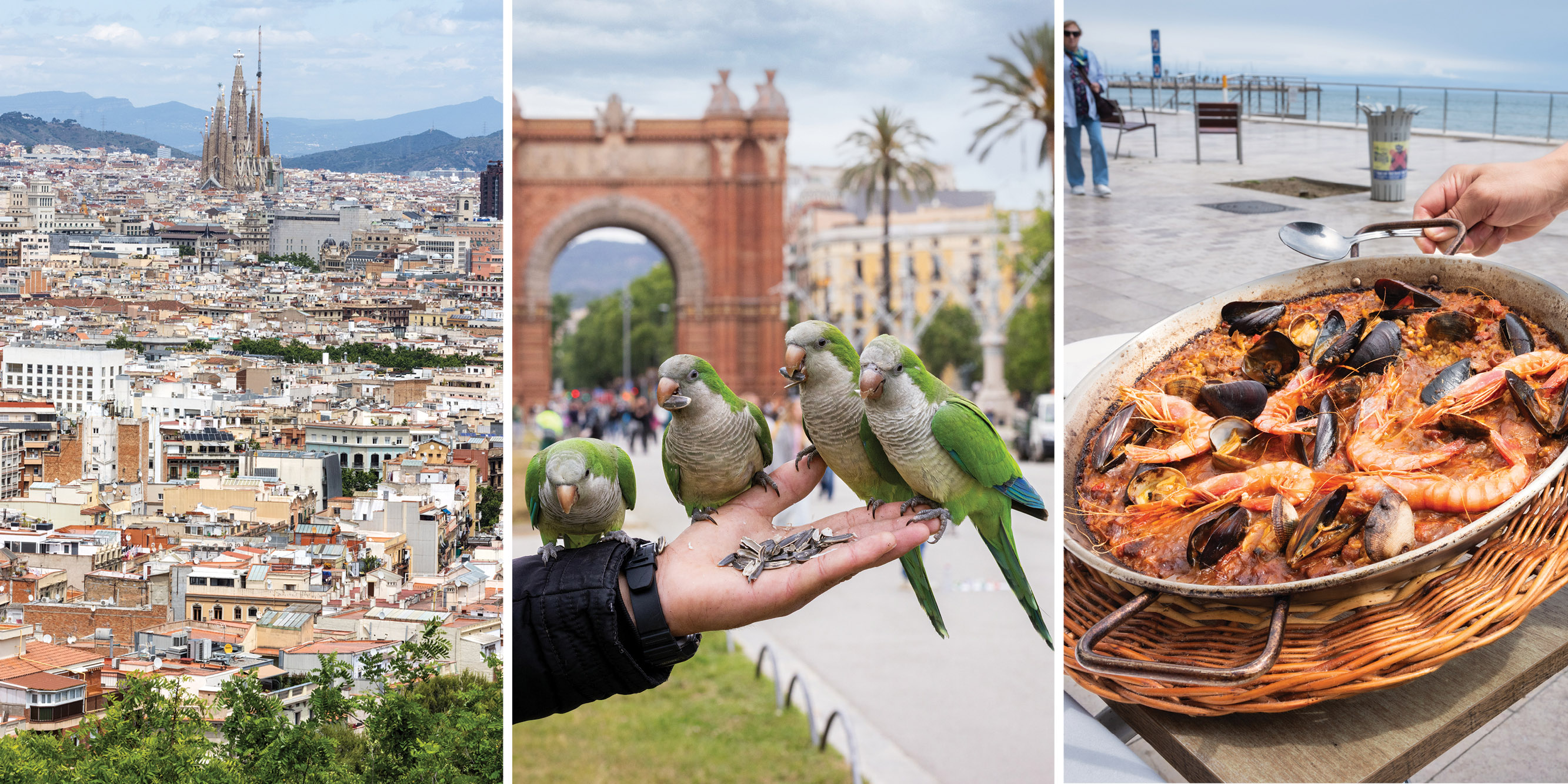  Beguiled in Barcelona