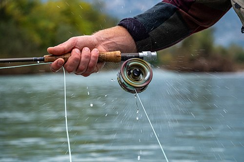 Hand holding fishing pole