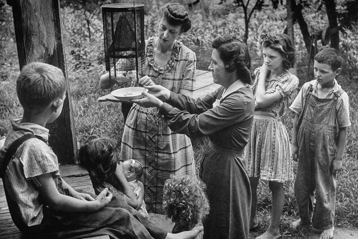 A woman collects flies for her polio research