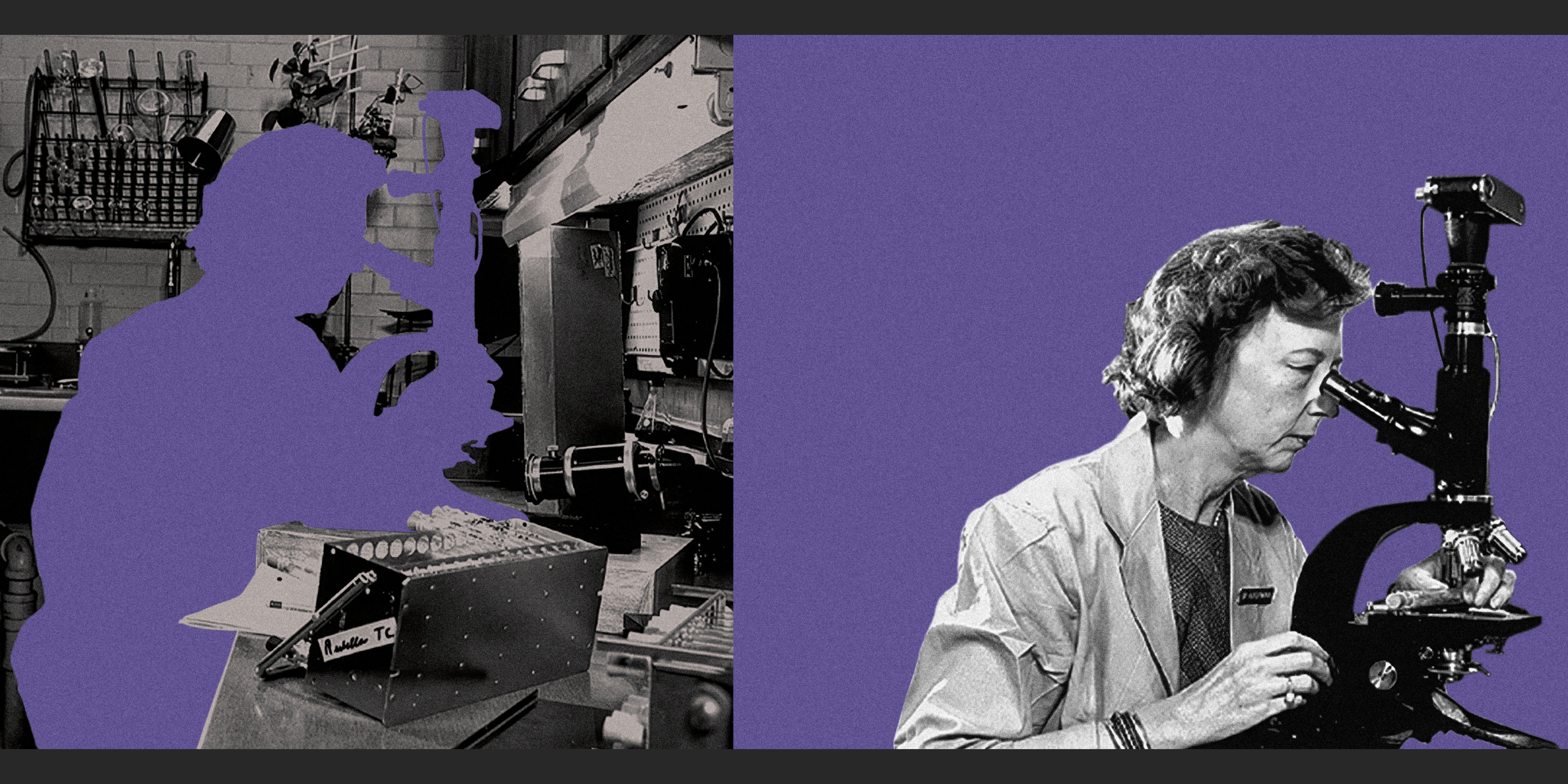 Dr. Dorothy Horstmann working in her lab at Yale in the 1970s and in a 1979 photograph.