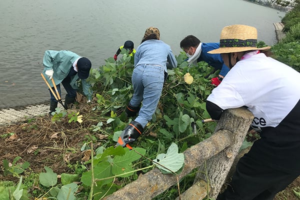 Rotary members in Japan tidy up a section of Lake Sanuma’s lakeshore, part of a multi-district project to clean beaches, rivers, and lakes.