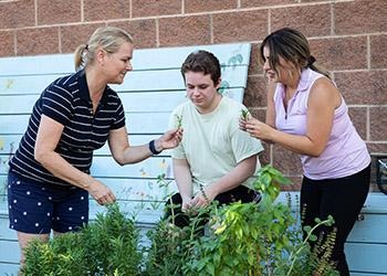 Three people interact with plants in a raised garden bed, one holding herbs while others observe beside a brick building.