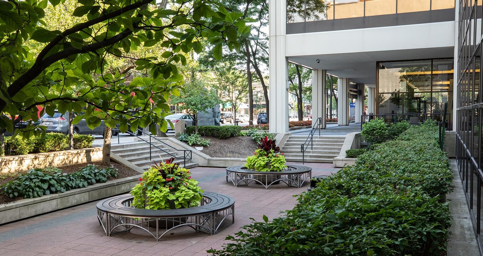 Outdoor courtyard with planters, benches, trees, and steps beside a glass-walled building.