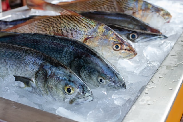Fish