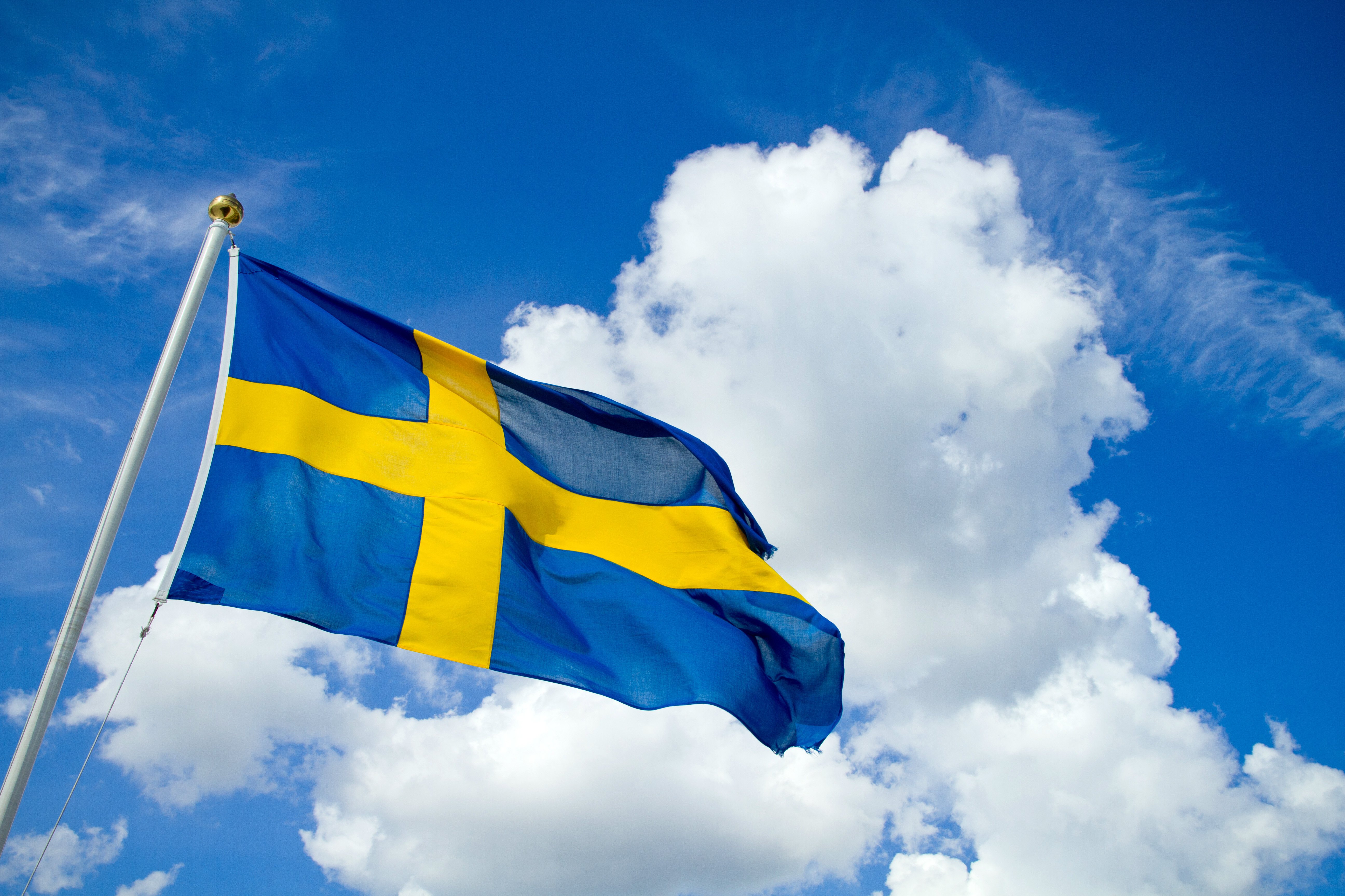 Swedish Flag