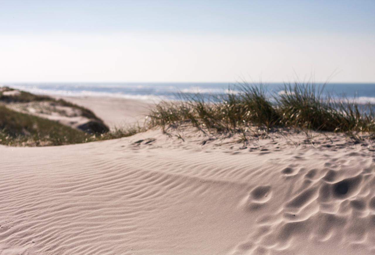beach-scandinavia-denmark-sas (1)