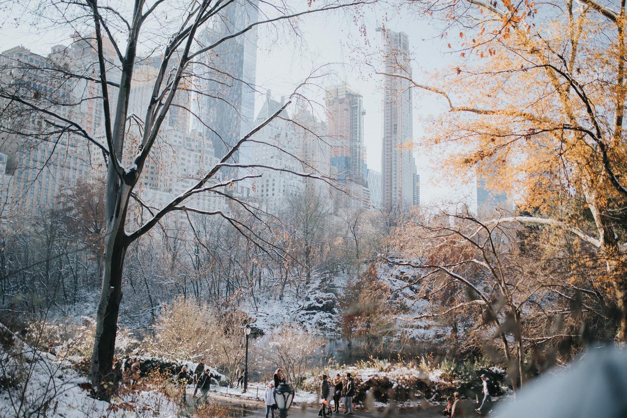 usa-new-york-ewr-central-park-winter-snow-sas