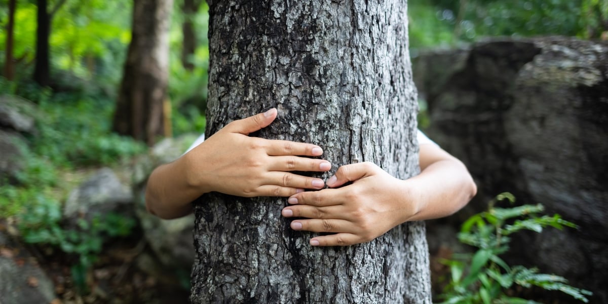 AdobeStock_220437327_Hug tree 2x1 1200x600