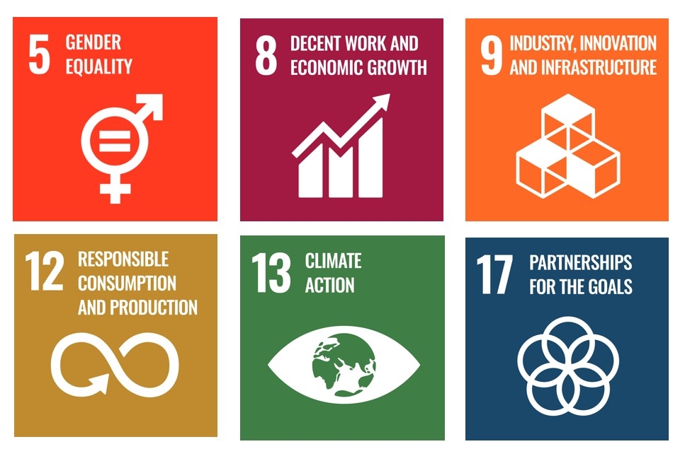 focused SDGs one image 967x650