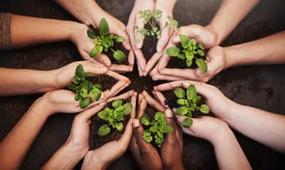 Sustainability collaboration AdobeStock_786089157_400x240