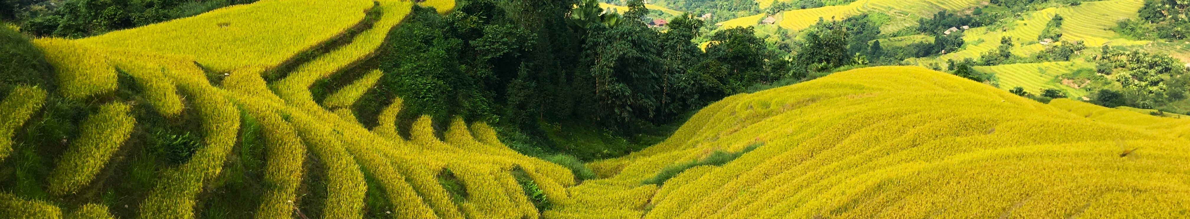 vietnam bannere