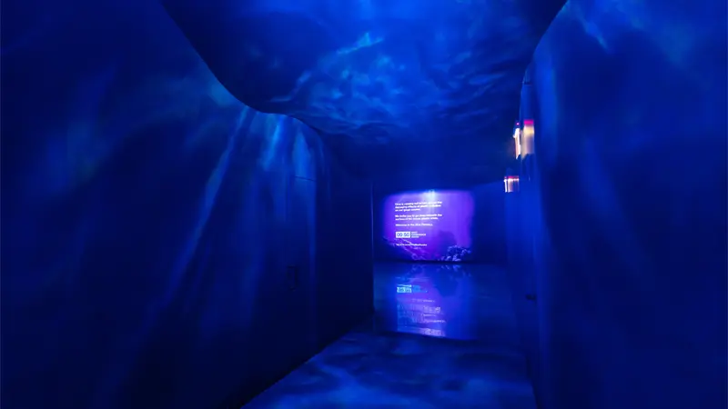 A Deeper Dive Into the Blue Paradox Exhibit on Plastic Pollution Crisis