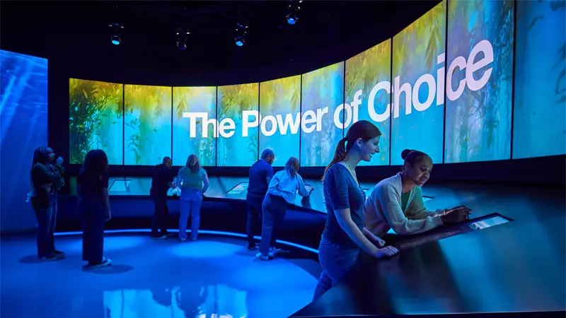 A Deeper Dive Into the Blue Paradox Exhibit on Plastic Pollution Crisis
