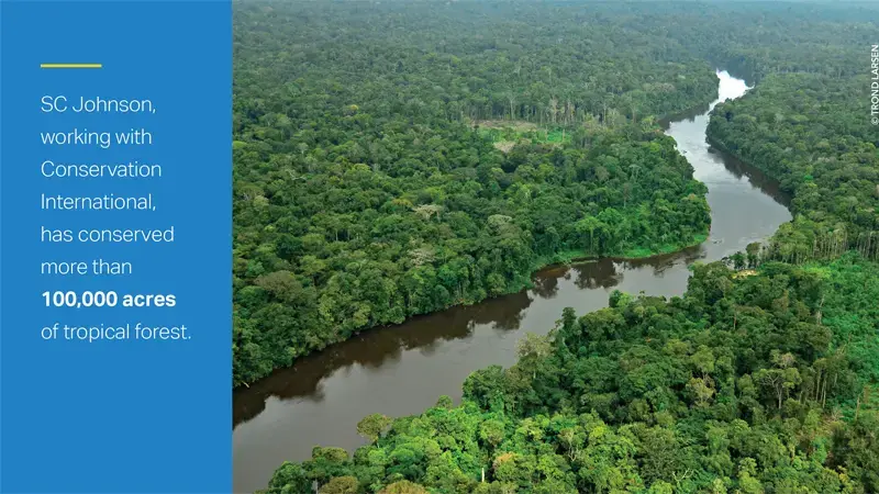 Rainforest and river.