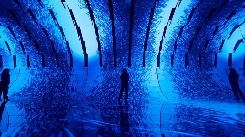 Inside The Blue Paradox immersive experience