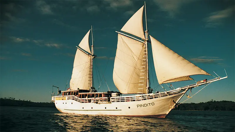 Sailing ship on calm water under clear blue sky. Text: "PINDITO."