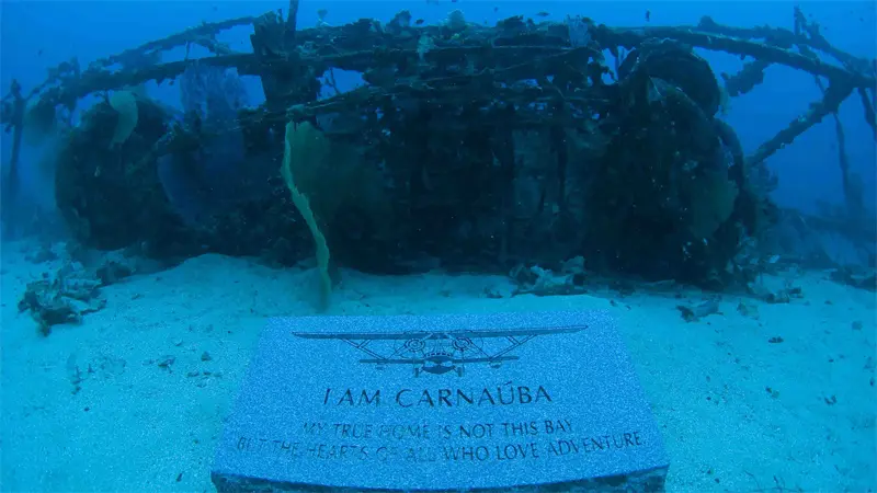 Wrecked plane submerged underwater with engraved plaque nearby.