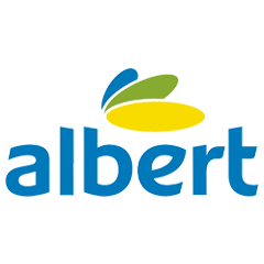 Albert Logo