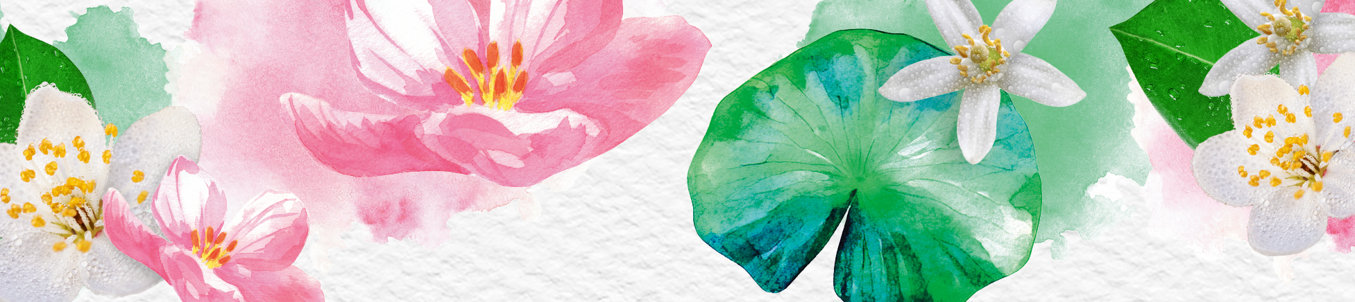 A series of pictures illustrating water drops resting on flowers, capturing the essence of nature's elegance and freshness