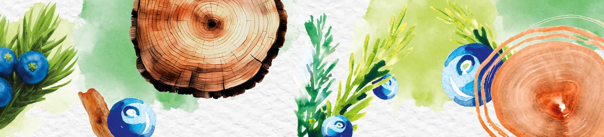 Wood and blueberries are arranged in alternating vertical strips, illustrating the textures of rough bark, smooth wood grain, and the rounded surfaces of ripe blueberries in a natural setting.