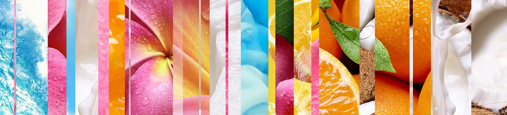 Vertical strips display vibrant close-ups: blue ocean waves, pink and yellow flower, creamy textures, citrus fruits, green leaves, and coconut segments. The composition creates a vivid, colorful collage.