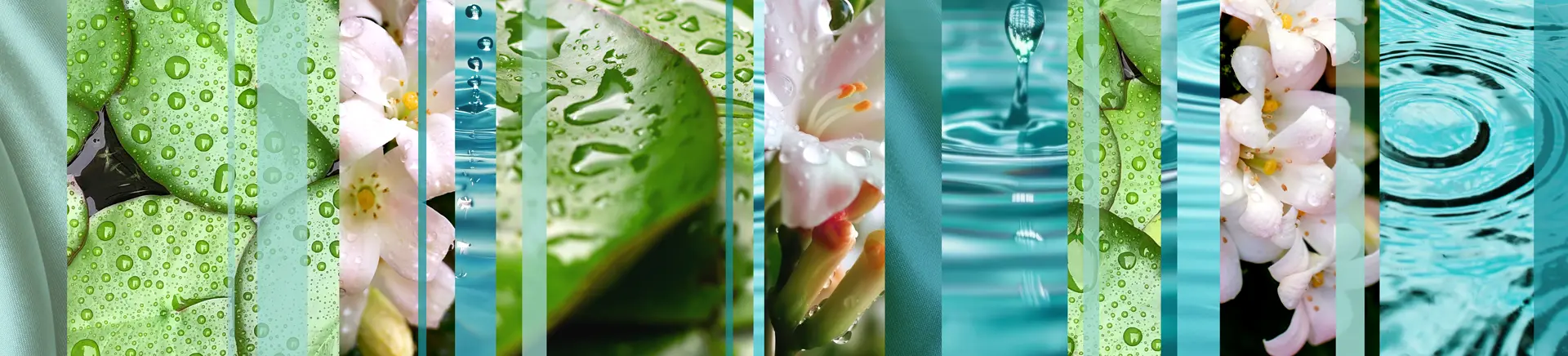 A series of pictures illustrating water drops resting on flowers, capturing the essence of nature's elegance and freshness