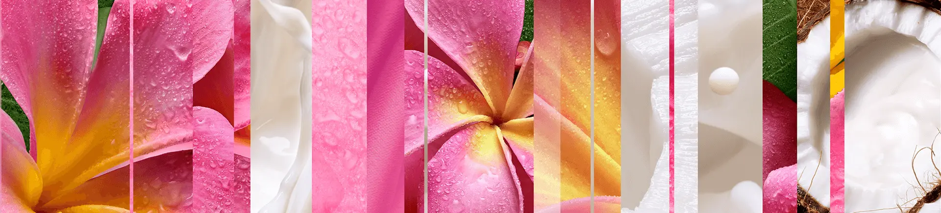 A vibrant collage of pink-yellow flowers and white cream splashes interspersed with coconut halves and green leaves, creating a refreshing, tropical aesthetic.