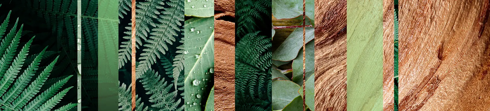 A collage featuring vibrant green leaves adorned with glistening water drops, showcasing nature's refreshing beauty