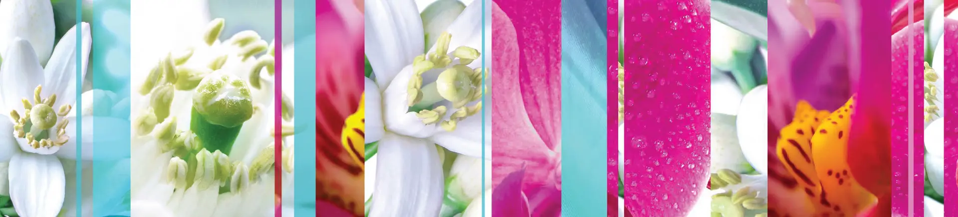 Collaged flowers showcase various close-up views, highlighting petals, stamens, and textures. Bright hues and sharp contrasts create a vibrant, abstract depiction, with vertical slices forming a segmented pattern.