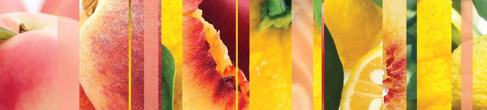 Cross-sectioned fruits form vertical stripes showing peaches, citrus, and other fruits. Bright colors and textures vary, emphasizing freshness and diversity in a collage-like arrangement.