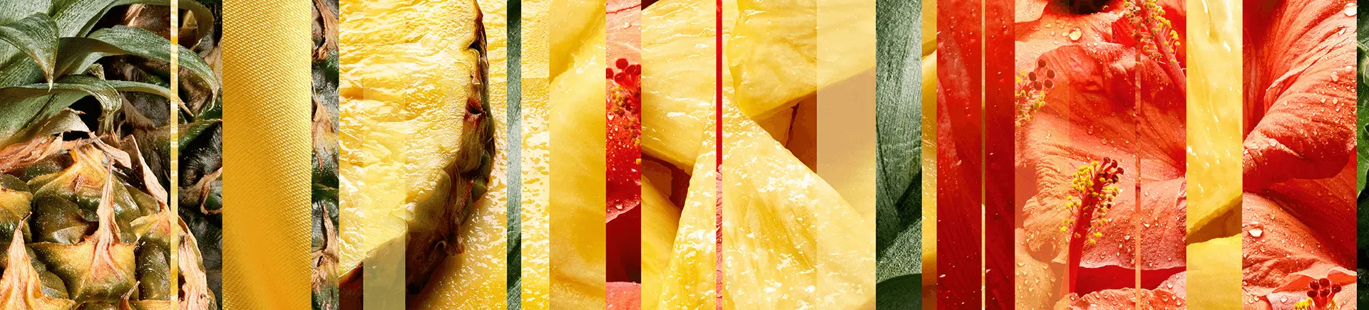 Pineapple and hibiscus are sliced vertically in overlapping strips, displaying textures and colors. The vibrant yellow pineapple contrasts with the deep red hibiscus against a neutral background.