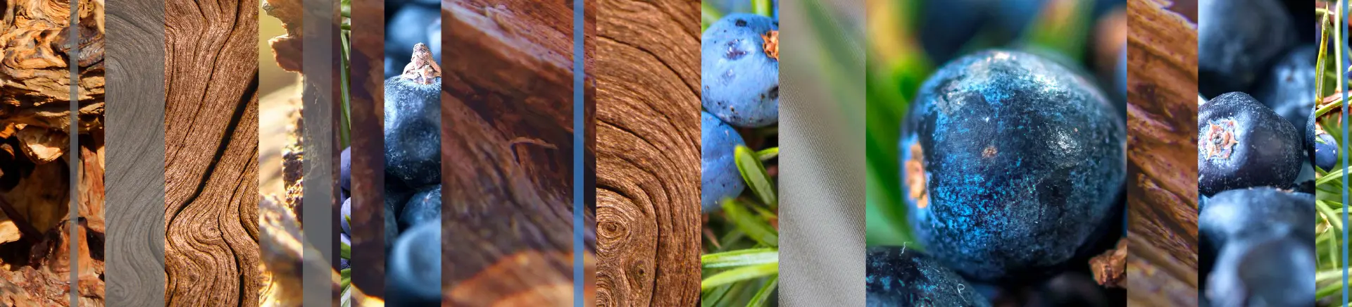 Wood and blueberries are arranged in alternating vertical strips, illustrating the textures of rough bark, smooth wood grain, and the rounded surfaces of ripe blueberries in a natural setting.