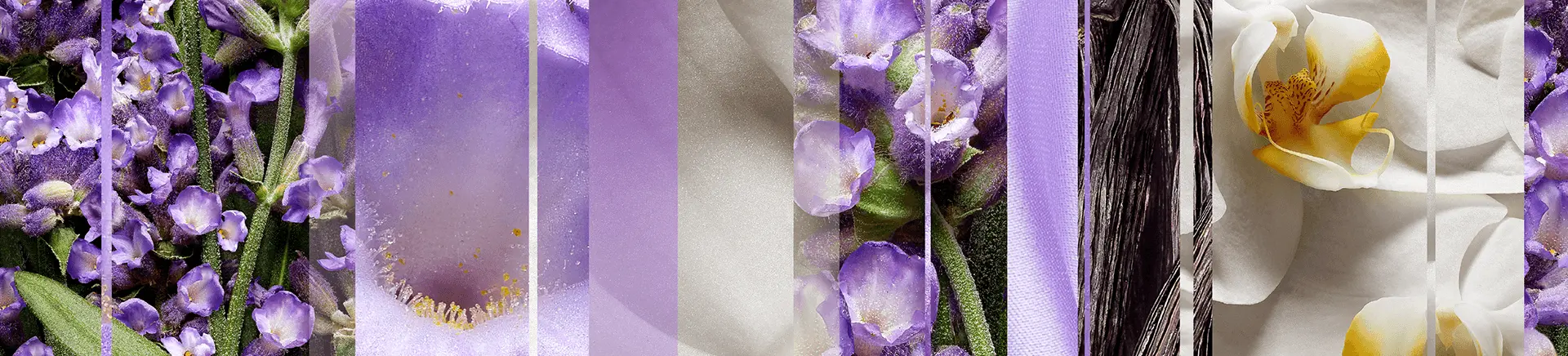 Purple flowers and white petals are arranged in vertical panels, showcasing delicate textures and vibrant colors. Green foliage and vanilla beans add contrast, creating a rich botanical composition.