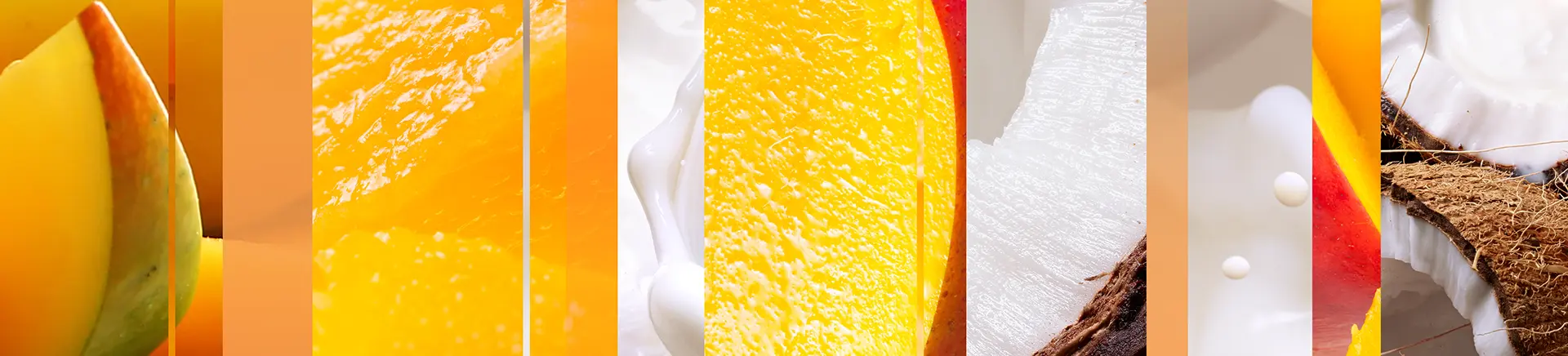 A colorful display featuring slices of mango, coconut, and orange, highlighting their tropical essence and freshness