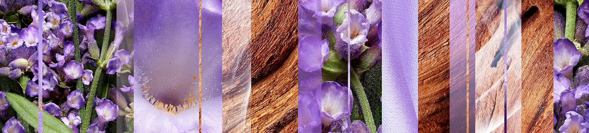 Purple flowers are interspersed with wooden textures, divided into vertical segments. The image blends natural elements, creating a visually striking collage-like effect.
