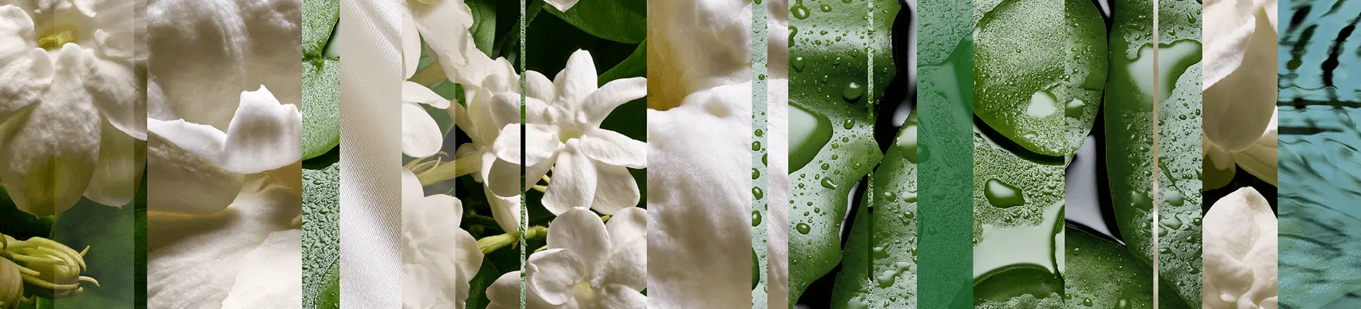 White flowers and green leaves are segmented into vertical strips. Some sections display dewdrop-covered leaves, while others show serene water surfaces, creating a combination of natural textures and colors.