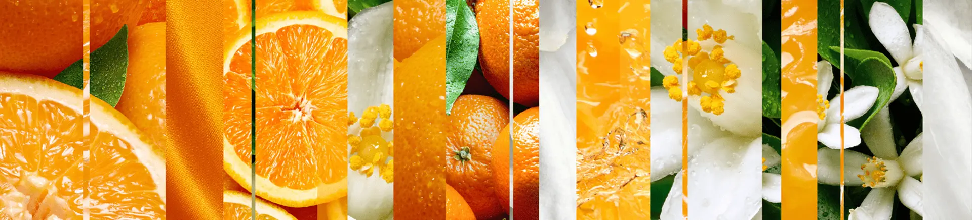 Slices of oranges and flowers are displayed in an abstract collage, incorporating textures like peel, juice, and petals amidst a vibrant orange and white color scheme.