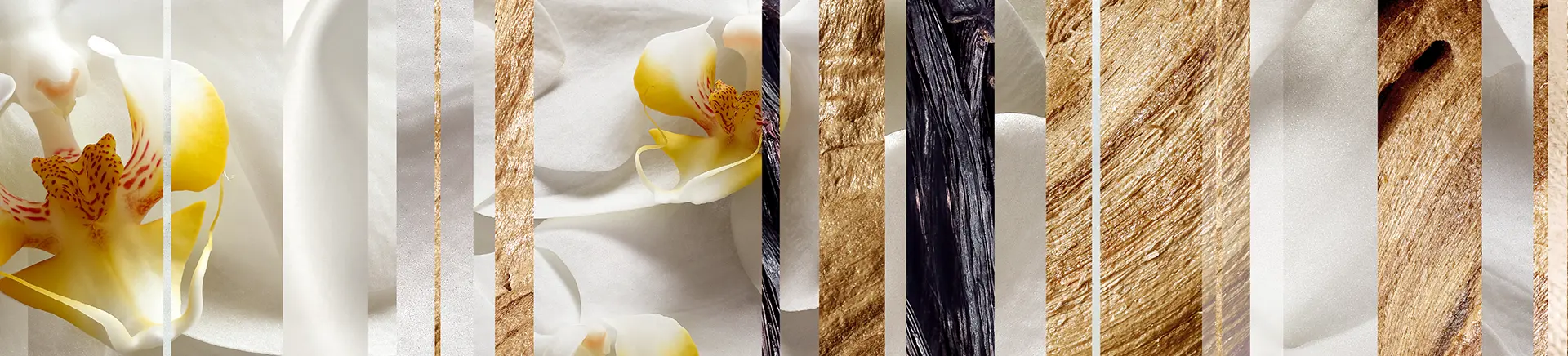 Orchid petals and vanilla beans are arranged alongside textured golden and wooden surfaces, creating a luxurious, abstract collage. The composite design evokes elegance and natural beauty. No text is present.