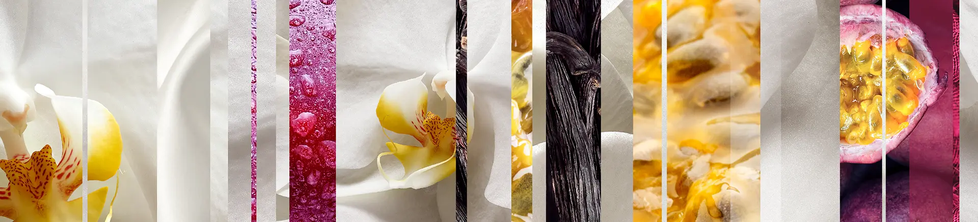 Orchid flowers and passion fruit slices are juxtaposed with a vanilla bean, creating vertical strips that blend organic elements. The background contrasts light and dark hues.