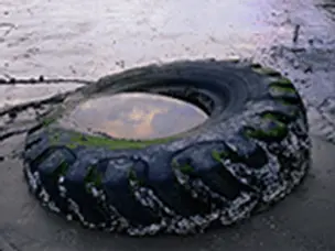 Pneu jeté rempli d'eau de pluie