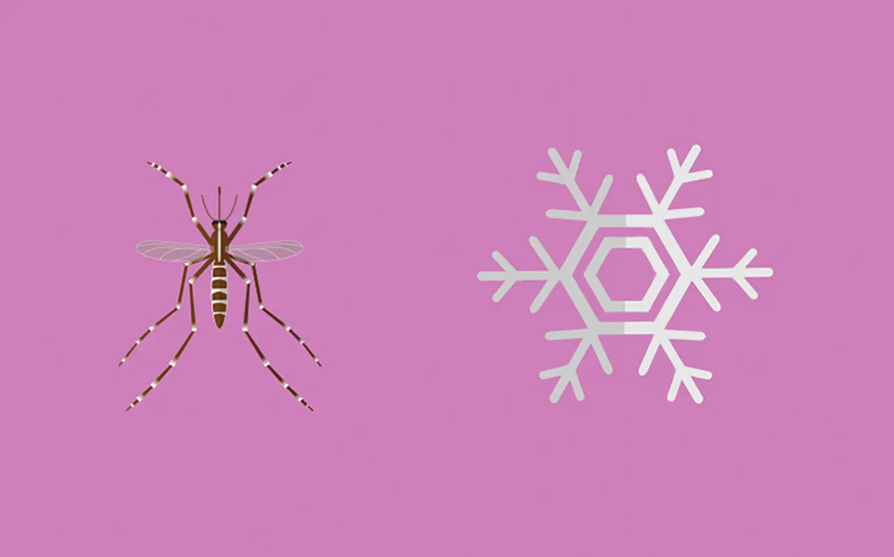 Illustrated image of a mosquito and a snowflake side by side