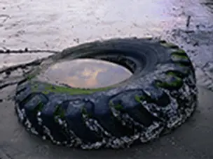 Un neumático desechado lleno de agua de lluvia