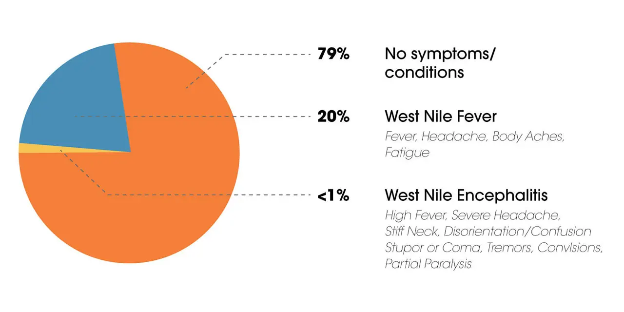 Gráfico circular; sin síntomas ni afecciones 79 %; fiebre del Nilo Occidental 20 %; encefalitis del Nilo Occidental <1 %